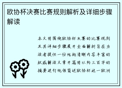欧协杯决赛比赛规则解析及详细步骤解读