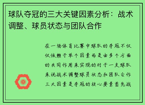 球队夺冠的三大关键因素分析：战术调整、球员状态与团队合作
