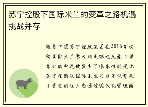 苏宁控股下国际米兰的变革之路机遇挑战并存