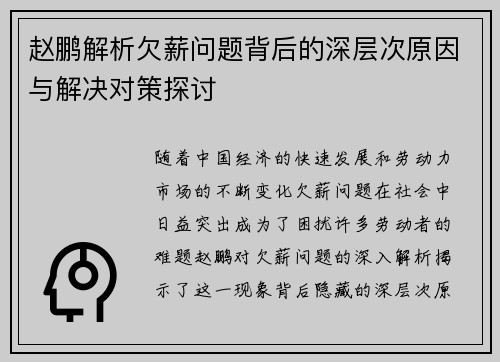 赵鹏解析欠薪问题背后的深层次原因与解决对策探讨